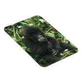 Gorilla (Gorilla gorilla beringei) Magnet (Rechte Seite)