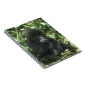 Gorilla (Gorilla gorilla beringei) Notizblock (Rechte Seite)
