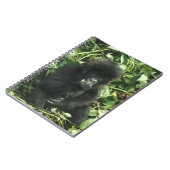 Gorilla (Gorilla gorilla beringei) Notizblock (Linke Seite)