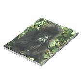 Gorilla (Gorilla gorilla beringei) Notizblock (Rotiert)
