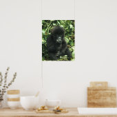 Gorilla (Gorilla gorilla beringei) Poster (Küche)