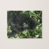 Gorilla (Gorilla gorilla beringei) Puzzle (Horizontal)