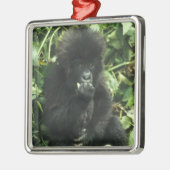 Gorilla (Gorilla gorilla beringei) Silbernes Ornament (Links)