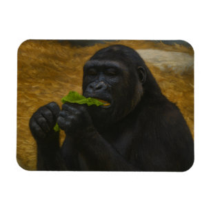 Gorilla Grace - Realistisches Tierportrait Magnet