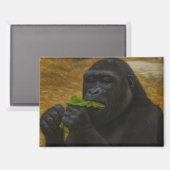 Gorilla Grace - Realistisches Tierportrait Magnet (Vorderseite/Rückseite)
