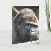 Gorilla Greeting Card Karte (Vorderseite)