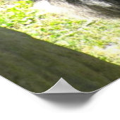 GORILLA GREETING Poster (Ecke)