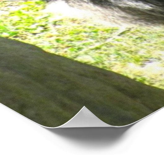 GORILLA GREETING Poster (Ecke)