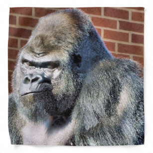 Lustige Gorillas Modische Accessoires Zazzle De