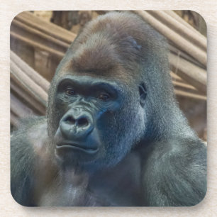 Gorilla herauf nahe harte PlastikUntersetzer Getränkeuntersetzer