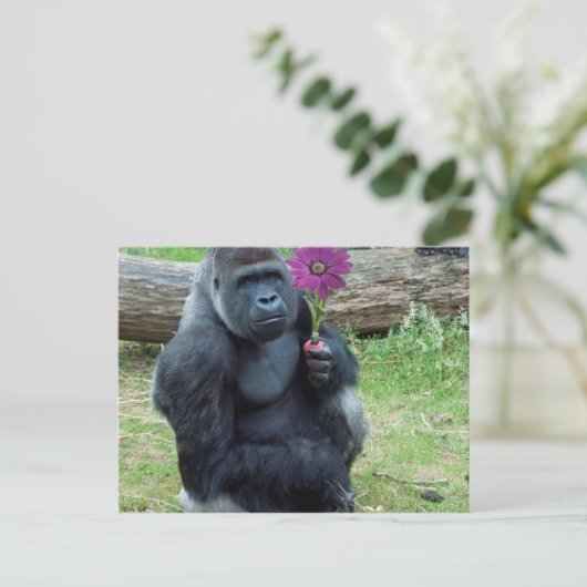Gorilla Holding Blume Postkarte (Stehend Vorderseite)