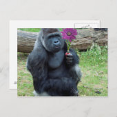 Gorilla Holding Blume Postkarte (Vorne/Hinten)