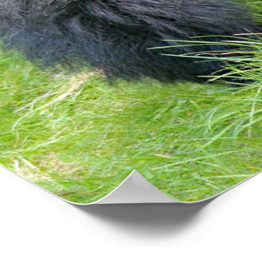 Gorilla im Dschungel Poster (Ecke)