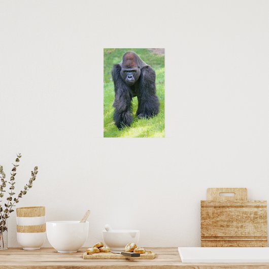 Gorilla im Dschungel Poster (Küche)