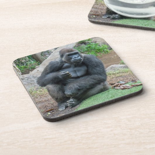 Gorilla in den harten Untersetzer des Zoos (Linke Seite)