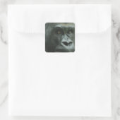 Gorilla in den Nebelklebern Quadratischer Aufkleber (Tasche)