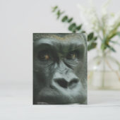 Gorilla in den Nebelpostkarten Postkarte (Stehend Vorderseite)