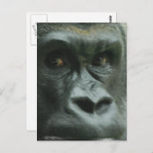 Gorilla in den Nebelpostkarten Postkarte (Vorne/Hinten)