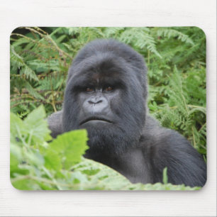 Gorilla in Ruanda Mousepad