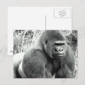 Gorilla in Schwarz und Weiß Postkarte (Vorne/Hinten)