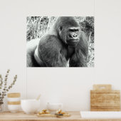 Gorilla in Schwarz-Weiß-Poster Poster (Küche)