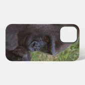 Gorilla iPhone Hülle (Rückseite (Horizontal))
