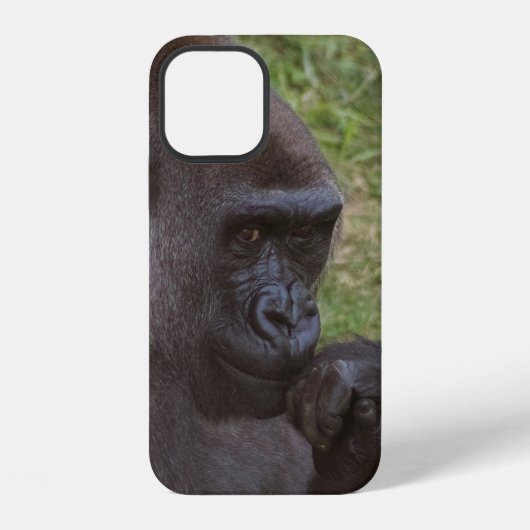 Gorilla iPhone Hülle (Rückseite)