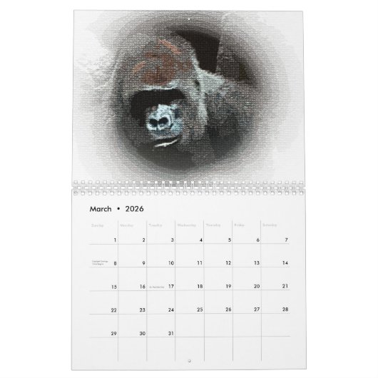 Gorilla Kalender (Mär 2026)