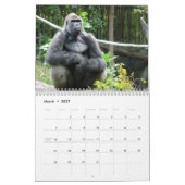 Gorilla-Kalender 2019 Kalender (Mär 2027)