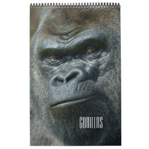 Gorilla-Kalender 2026 Kalender