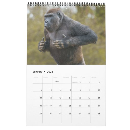 Gorilla-Kalender 2026 Kalender (Jan 2026)