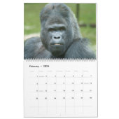 Gorilla-Kalender 2026 Kalender (Feb 2026)