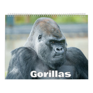 Gorilla-Kalender 2026 Kalender