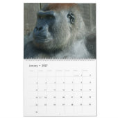 Gorilla-Kalender 2026 Kalender (Jan 2027)