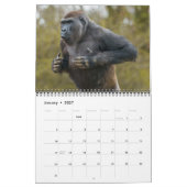 Gorilla-Kalender 2026 Kalender (Jan 2027)