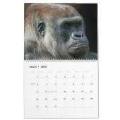 Gorilla-Kalender 2026 Kalender (Mär 2026)