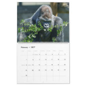 Gorilla-Kalender 2026 Kalender (Feb 2027)