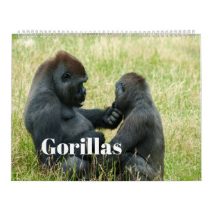 Gorilla-Kalender 2026 Kalender
