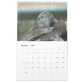 Gorilla-Kalender 2026 Kalender (Feb 2027)