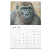 Gorilla-Kalender 2026 Kalender (Jan 2027)