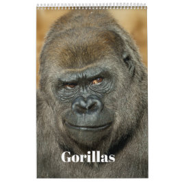 Gorilla-Kalender 2026 Kalender