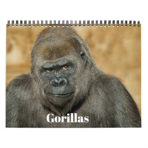 Gorilla-Kalender 2026 Kalender