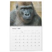 Gorilla-Kalender 2026 Kalender (Jan 2027)