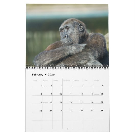 Gorilla-Kalender 2026 Kalender (Feb 2026)