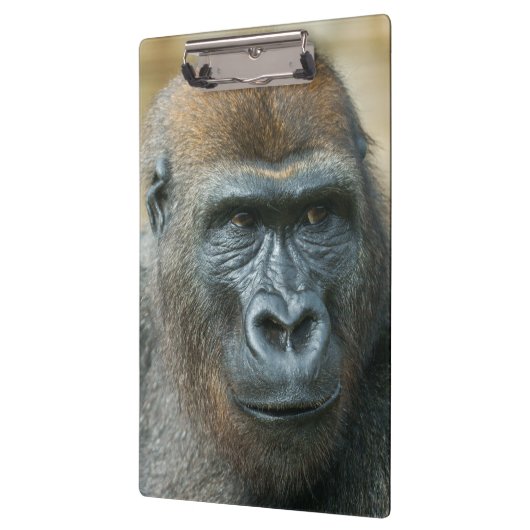 Gorilla Klemmbrett (Links)