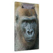 Gorilla Klemmbrett (Rechts)
