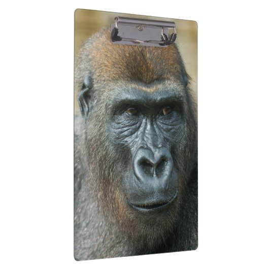 Gorilla Klemmbrett (Rechts)