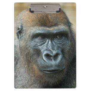 Gorilla Klemmbrett