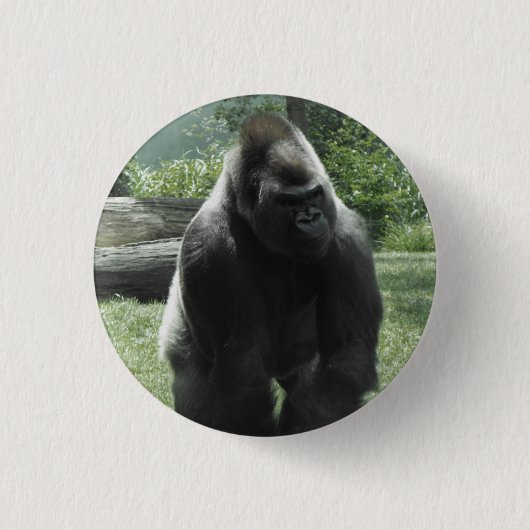 Gorilla-Knopf Button (Vorderseite)