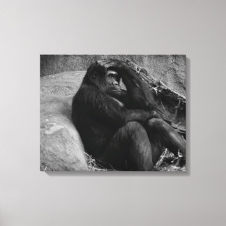 Gorilla Kontemplation - Schwarz-Weiß-Foto Leinwanddruck